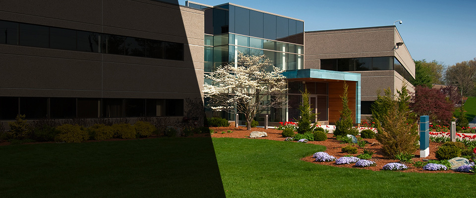 Melbourne Beach Landscapers