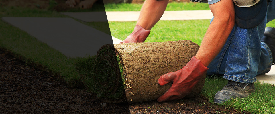 Melbourne Beach Landscapers